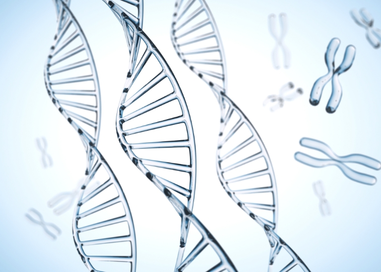 PDRN in Skincare: What It Is, How It Works, and Why Everyone’s Talking About It