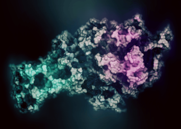 Peptide chain