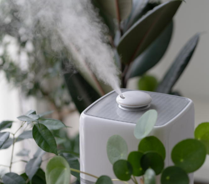 Humidifier